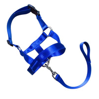 HKM-0195645 Adjustable Anti-Riot Dog Traction Rope for Safe Walking and Training
