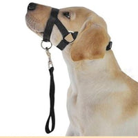 HKM-0195645 Adjustable Anti-Riot Dog Traction Rope for Safe Walking and Training
