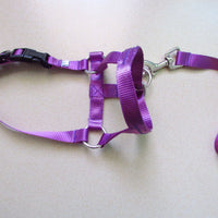 HKM-0195645 Adjustable Anti-Riot Dog Traction Rope for Safe Walking and Training