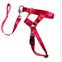 HKM-0195645 Adjustable Anti-Riot Dog Traction Rope for Safe Walking and Training