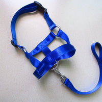 HKM-0195645 Adjustable Anti-Riot Dog Traction Rope for Safe Walking and Training