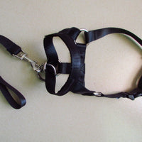 HKM-0195645 Adjustable Anti-Riot Dog Traction Rope for Safe Walking and Training
