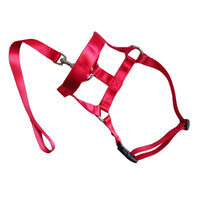HKM-0195645 Adjustable Anti-Riot Dog Traction Rope for Safe Walking and Training
