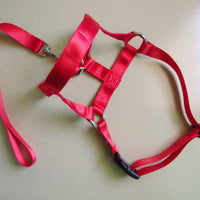 HKM-0195645 Adjustable Anti-Riot Dog Traction Rope for Safe Walking and Training