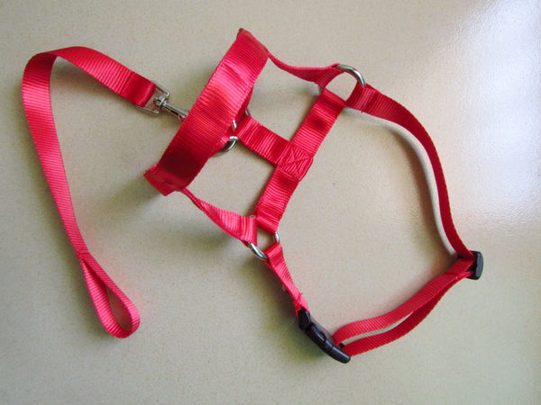 HKM-0195645 Adjustable Anti-Riot Dog Traction Rope for Safe Walking and Training