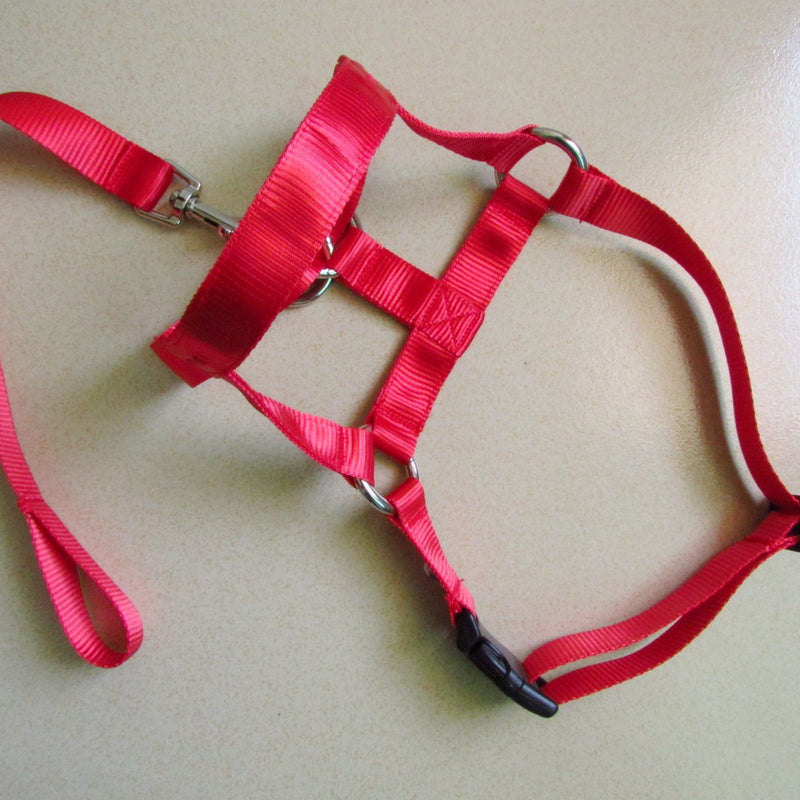 HKM-0195645 Adjustable Anti-Riot Dog Traction Rope for Safe Walking and Training