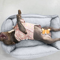 HKM-0195901 Cozy Nordic Gray Teddy for Golden Retrievers - Year-Round Comfort in Large Size