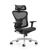 HKM-019667 Ergonomic High Back Mesh Swivel Office Chair with Adjustable Features