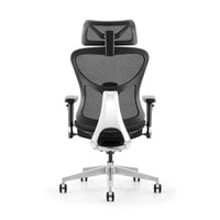 HKM-019667 Ergonomic High Back Mesh Swivel Office Chair with Adjustable Features