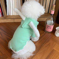 HKM-0196925 Thin Teddy Bear Matcha Dog Sweater - Available in Green, Beige, Pink, Sizes XS to XXL