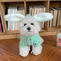 HKM-0196925 Thin Teddy Bear Matcha Dog Sweater - Available in Green, Beige, Pink, Sizes XS to XXL