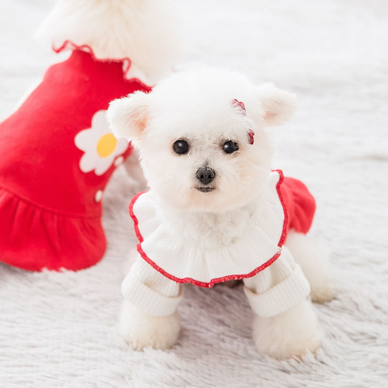 HKM-0198205 Daisy Flower Princess Woolen Skirt for Pets - Multiple Sizes Available