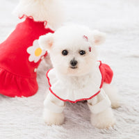 HKM-0198205 Daisy Flower Princess Woolen Skirt for Pets - Multiple Sizes Available