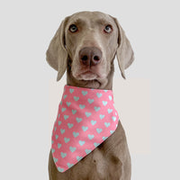 HKM-0199229 Three-Layer Thickened Waterproof Pet Scarf - Variety of Fun Colors and Patterns