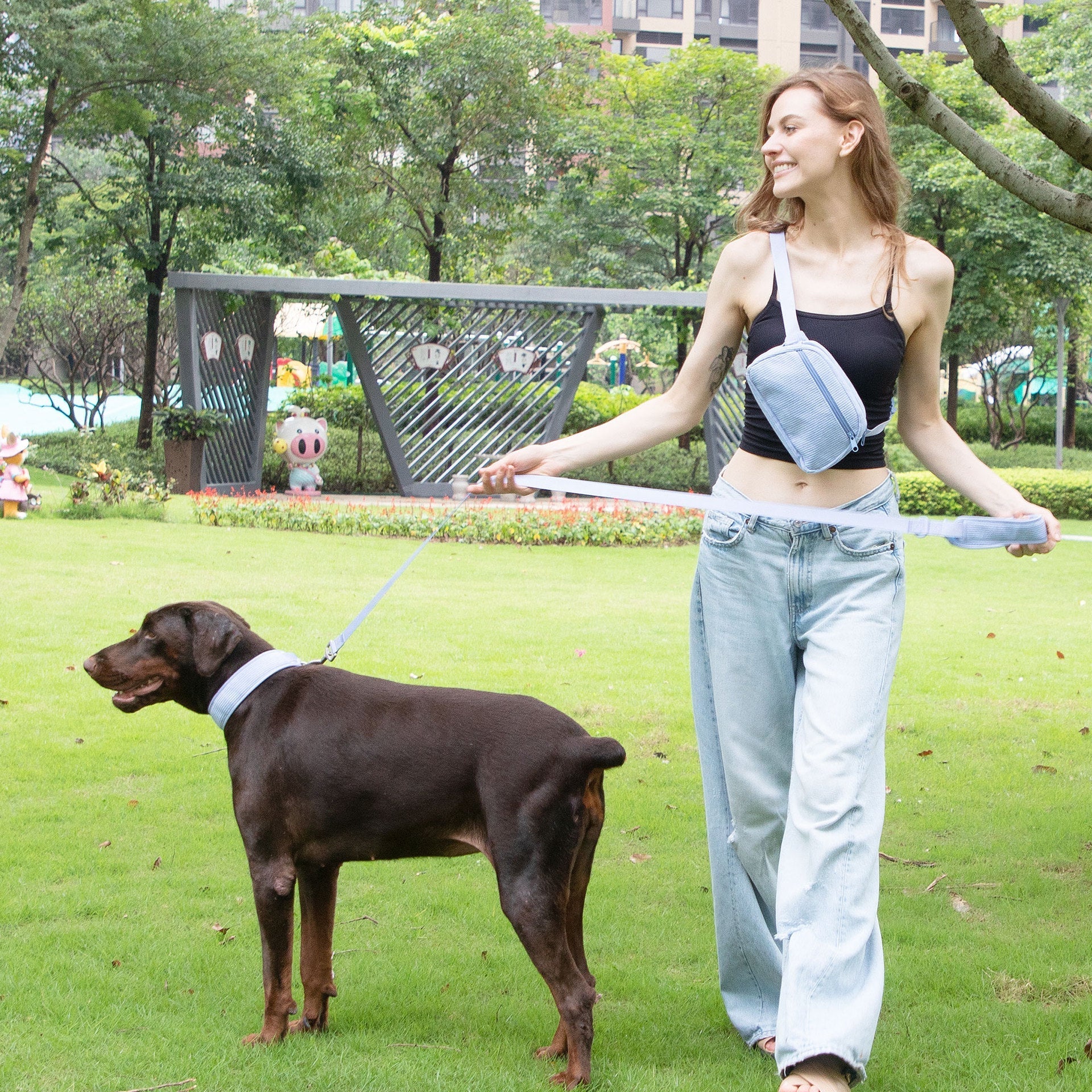 HKM-0201405 Baby Blue Pet Collar and Leash Set with Chest Back Harness and Mini Schoolbag Waste Bag Holder