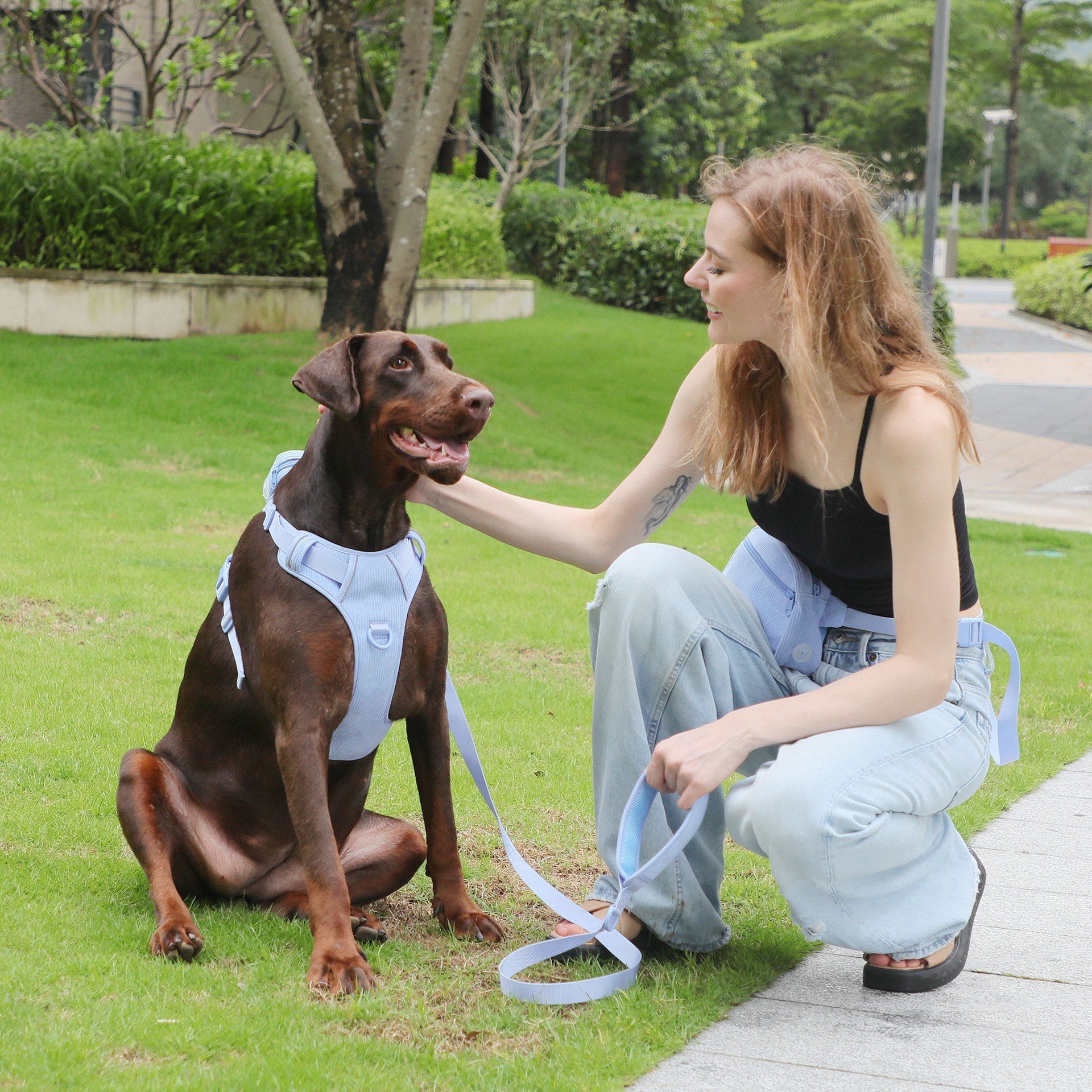 HKM-0201405 Baby Blue Pet Collar and Leash Set with Chest Back Harness and Mini Schoolbag Waste Bag Holder