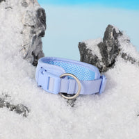 HKM-0201405 Baby Blue Pet Collar and Leash Set with Chest Back Harness and Mini Schoolbag Waste Bag Holder