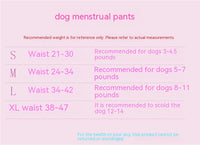 HKM-0207933 Bichon Poodle Canine Menstrual Panties in Denim with Mesh Bow - Pink & Blue Options Available