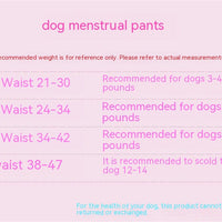 HKM-0207933 Bichon Poodle Canine Menstrual Panties in Denim with Mesh Bow - Pink & Blue Options Available