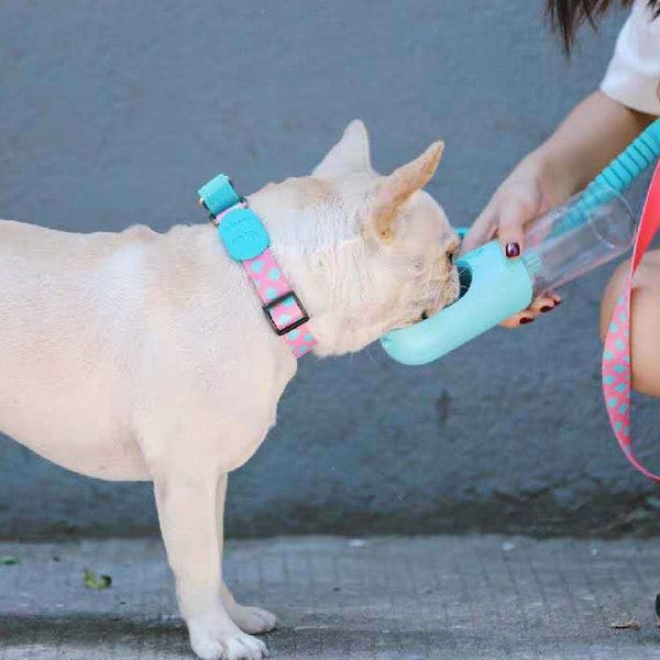 HKM-0209341 Explosion-proof Pet Traction Neckband - Durable Nylon Collar in Sunrise, Bobby, Hill Mark, Florida Colors