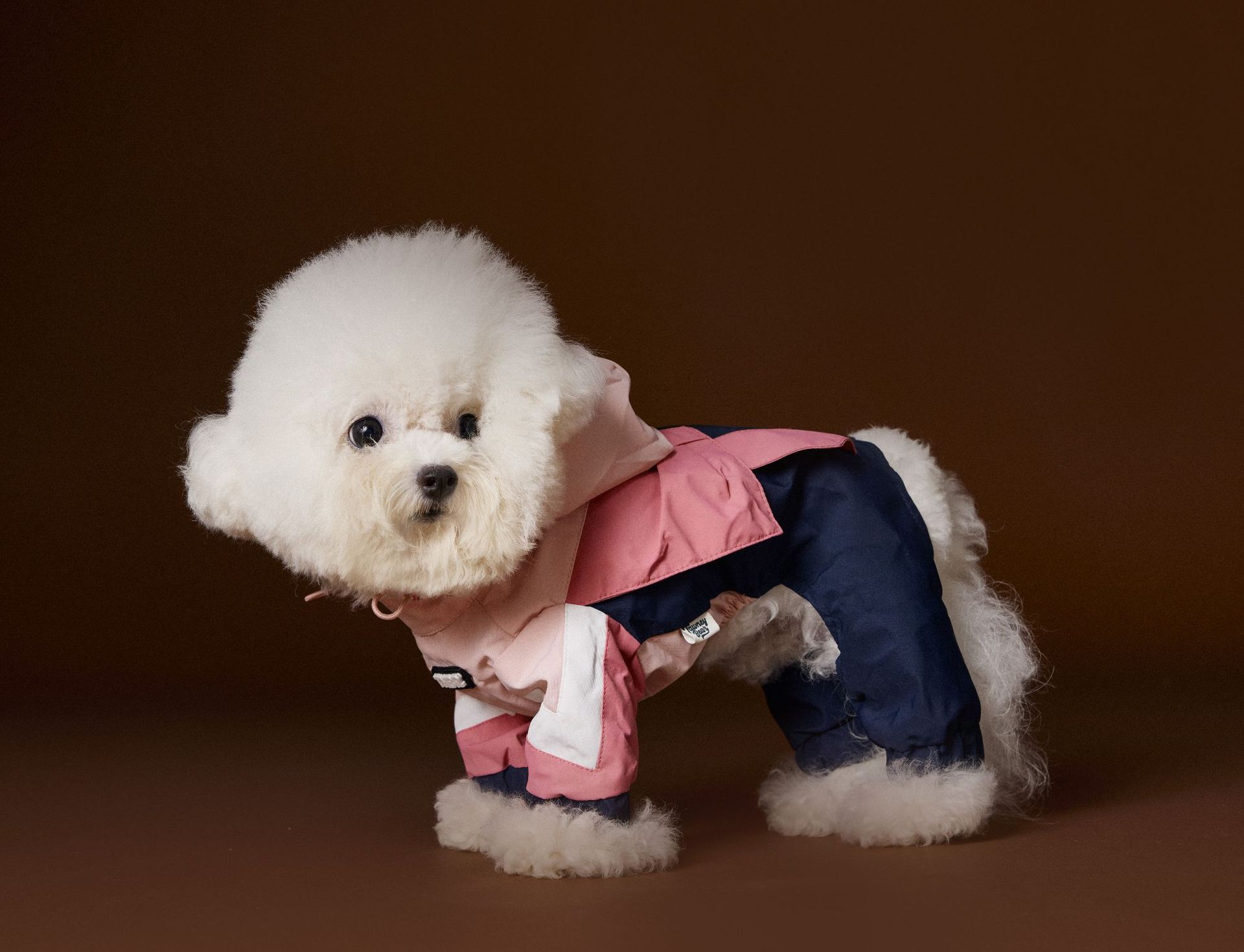 HKM-0217661 Bichon Schnauzer Teddy Four-Legged Sportswear with Traction Rope Buckle, Casual Pet Clothing in Various Sizes