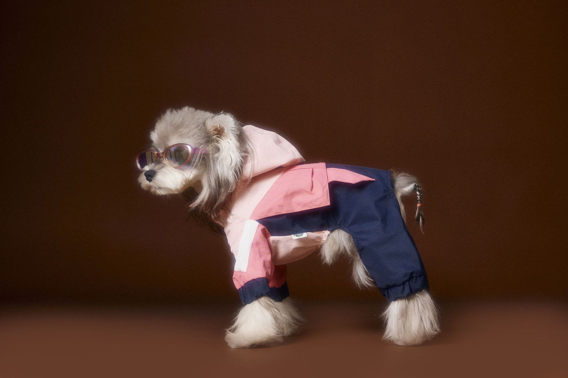 HKM-0217661 Bichon Schnauzer Teddy Four-Legged Sportswear with Traction Rope Buckle, Casual Pet Clothing in Various Sizes