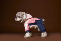 HKM-0217661 Bichon Schnauzer Teddy Four-Legged Sportswear with Traction Rope Buckle, Casual Pet Clothing in Various Sizes