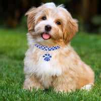 HKM-0221501 Diamond-Encrusted Elastic Pet Collar for Cats and Dogs - Multiple Colors Available