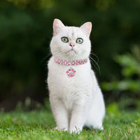 HKM-0221501 Diamond-Encrusted Elastic Pet Collar for Cats and Dogs - Multiple Colors Available