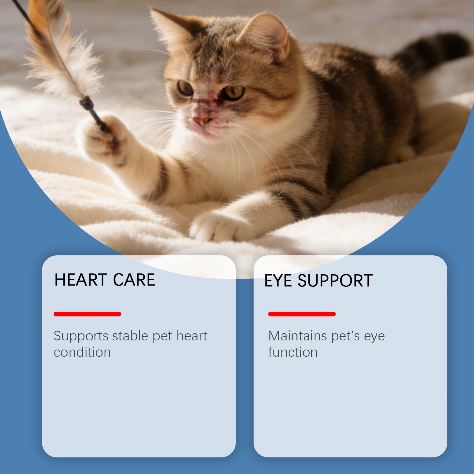 HKM-0224701 Cat Taurine Powder with DHA and Vitamins for Optimal Feline Health