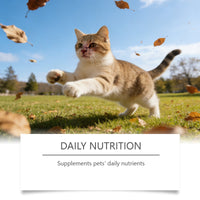 HKM-0224701 Cat Taurine Powder with DHA and Vitamins for Optimal Feline Health