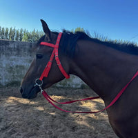 HKM-022547 Durable Horse Halter with Rope - Available in Black, Blue, and Red for Ponies and Large Horses