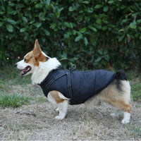 HKM-0227005 Multicolor Casual Pet Clothing for Warmth - XS to 2XL Sizes Available