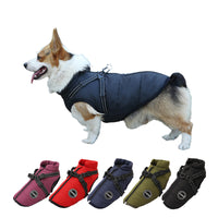 HKM-0227005 Multicolor Casual Pet Clothing for Warmth - XS to 2XL Sizes Available