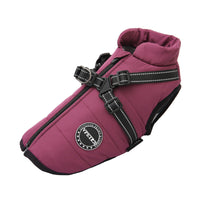 HKM-0227005 Multicolor Casual Pet Clothing for Warmth - XS to 2XL Sizes Available