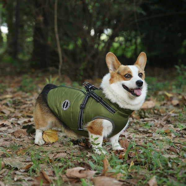HKM-0227005 Multicolor Casual Pet Clothing for Warmth - XS to 2XL Sizes Available
