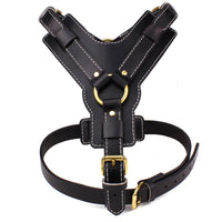 HKM-0233661 Black Leather Chest Strap for Medium to Large Dogs, Adjustable Fit 49-86cm