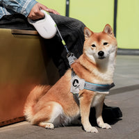 HKM-0234173 Retractable Pet Leash with Handheld Control - 3m, 5m, 8m Options Available
