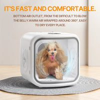 HKM-023763 75L Multi-Functional Pet Dryer Box with 360° Circulating Air and Intelligent Gate Lock