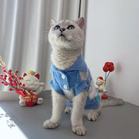 HKM-0238141 Plaid Polo-Collar Cardigan Sweater for Small to Medium Pets in Sky Blue and Pink