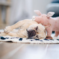 HKM-0239805 Pink Plush Pig Sleeping Companion Toy for Dogs