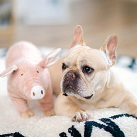 HKM-0239805 Pink Plush Pig Sleeping Companion Toy for Dogs