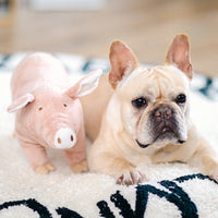 HKM-0239805 Pink Plush Pig Sleeping Companion Toy for Dogs