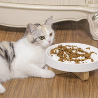 HKM-0240317 Ceramic Slow Feed Pet Bowl for Healthy Eating - Ideal for Cats and Small Dogs