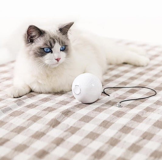 HKM-024147 Interactive Smart Cat Toy Ball with Bell and AAA Batteries Included