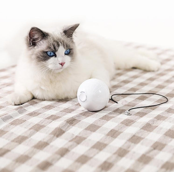HKM-024147 Interactive Smart Cat Toy Ball with Bell and AAA Batteries Included