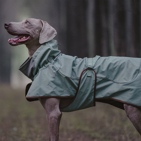 HKM-0245565 Waterproof and Windproof Soft Shell Jacket for Dogs in Basil Green and Iced Coffee Brown
