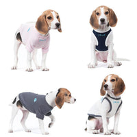 HKM-024723 Gray Cotton Dog Vest for Small Pets - Deodorizing Two-Legged Clothing in Sizes XS to XXL