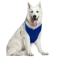 HKM-0247869 Cooling Collar for Pet Heat Relief ¨C Adjustable 34-40 cm Neck Size, Thin Design for Comfort