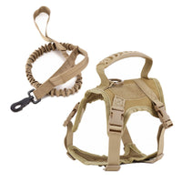 HKM-0248509 Adjustable Cat Chest Harness with Leash in Multiple Colors